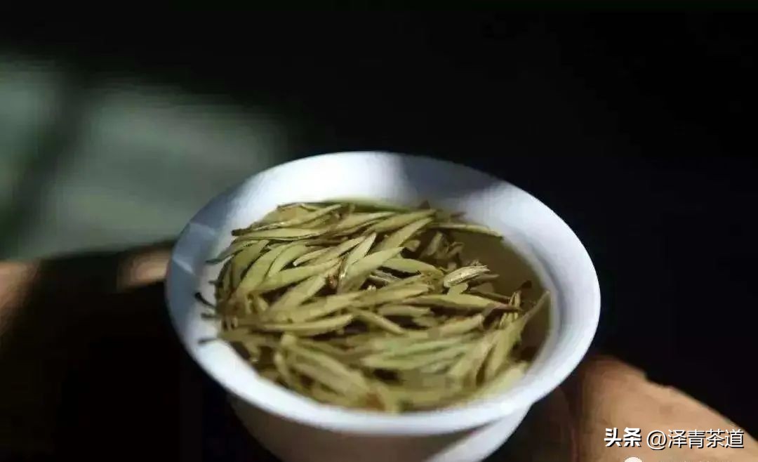 福建中国茶叶第一大省,中国茶叶排名第一省