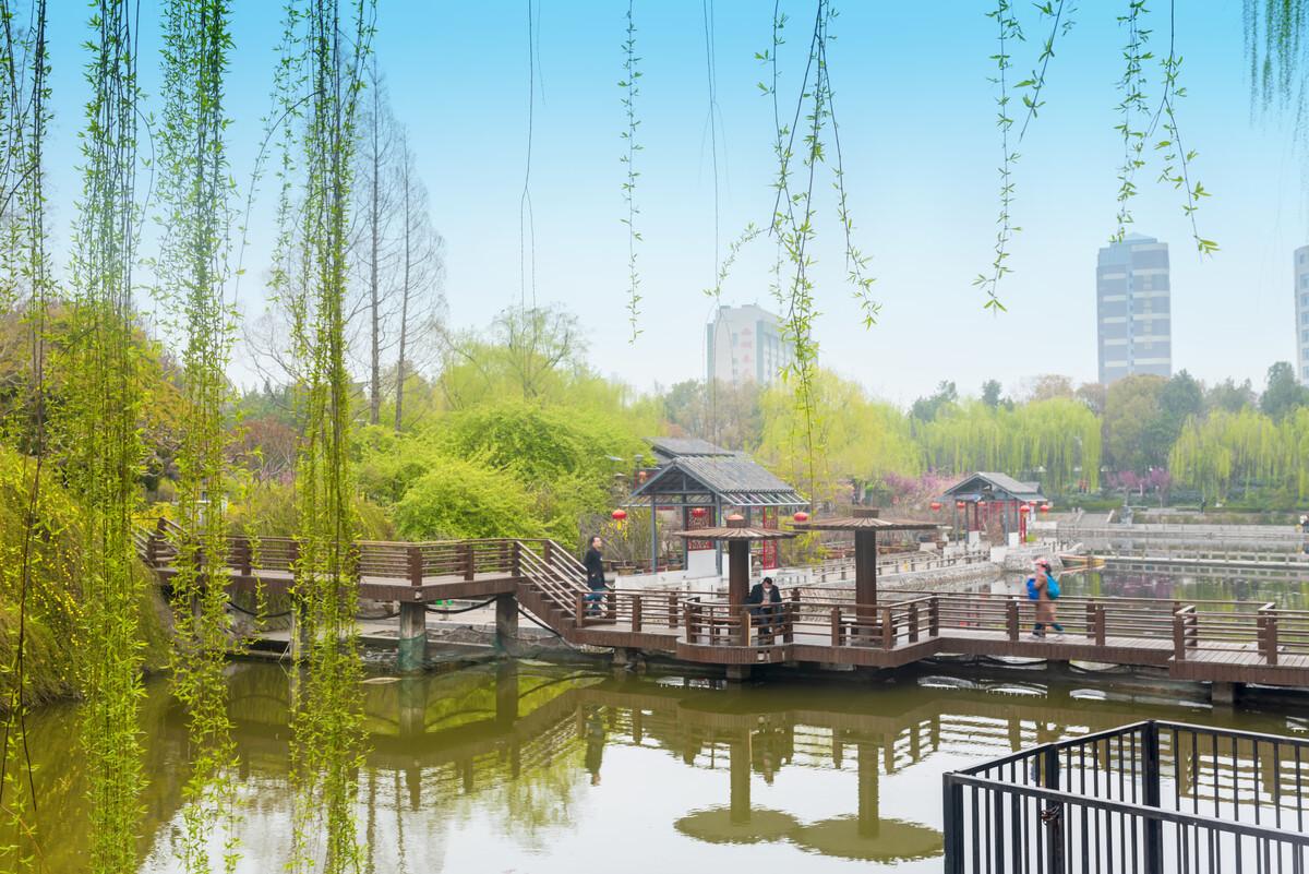 郑州经开区赏花胜地,三月郑州附近有什么赏花的