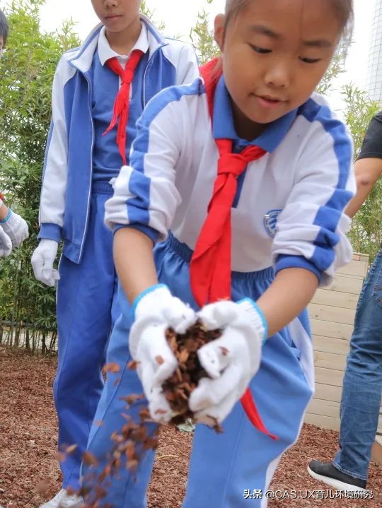CAS儿童空间|生命花园:在校园屋顶打造感知自然的实验场