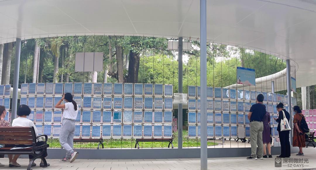 莲花山相亲角案例,莲花山相亲角成功几率