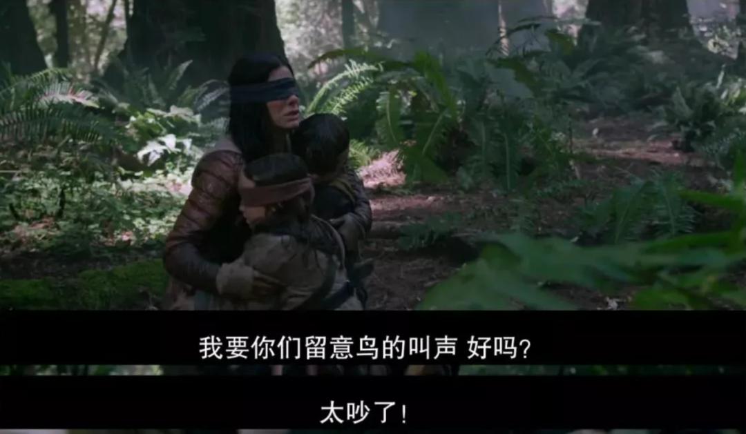 丽娜说电影系列（一）《蒙上你的眼（又名“鸟盒子”）》