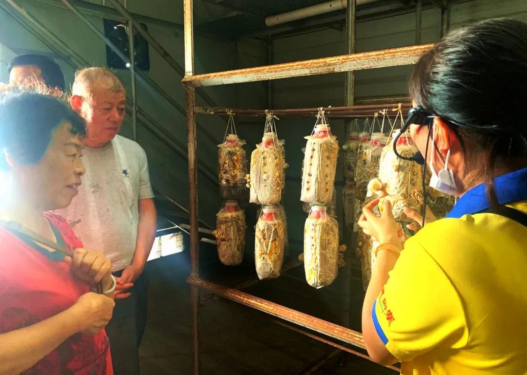 一次玩转韶关四大景区,一场深度体验游