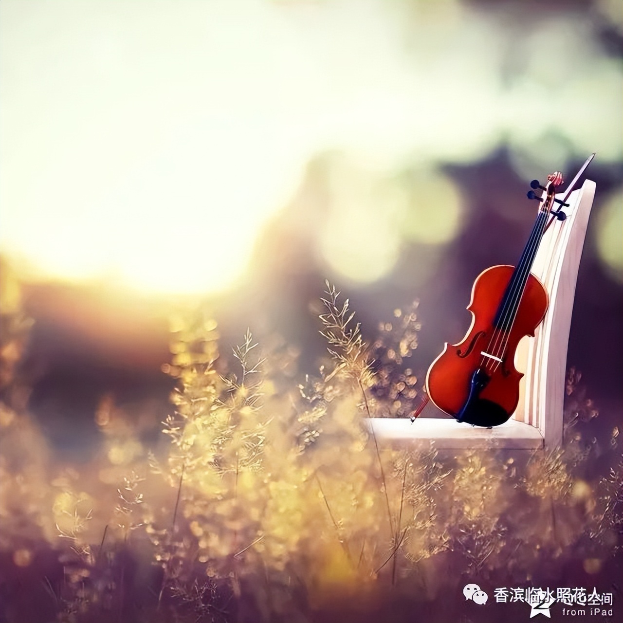 奋斗成就梦想作文二百字,奋斗成就梦想作文初一