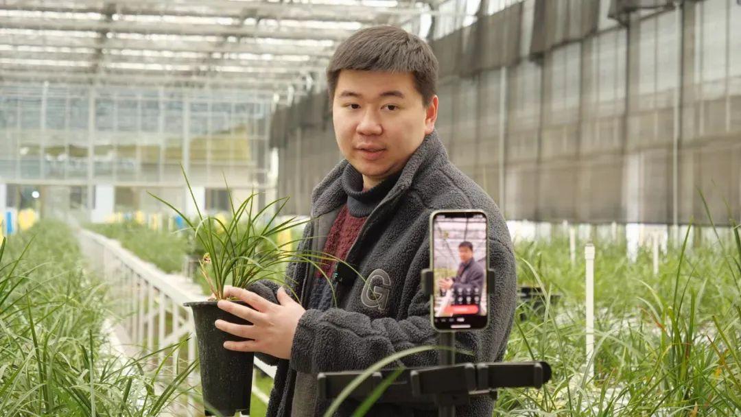 卖兰花一年收入,卖兰花卖得最好的一个月赚多少钱