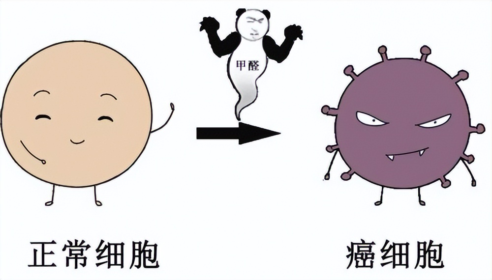 装修去异味除甲醛最好的方法,装修甲醛异味去除办法最新