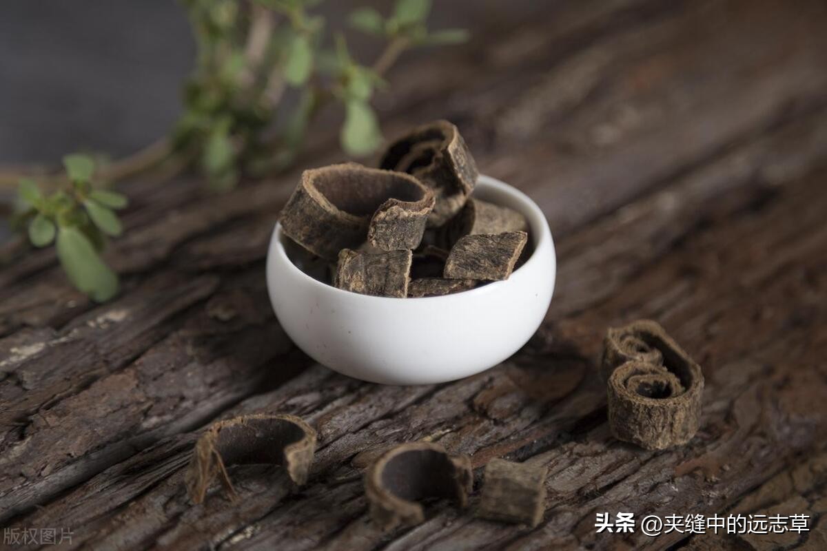 二阳咳嗽咳痰吃什么中成药,白痰和黄痰是火还是寒如何治疗