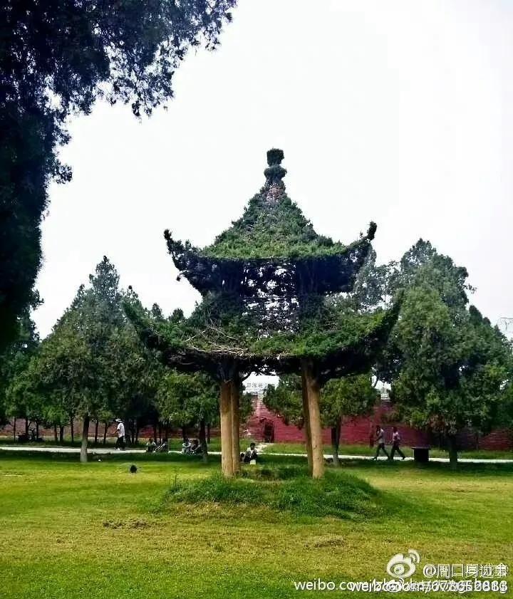 周口教育学院05年院长,周口教育学院简介