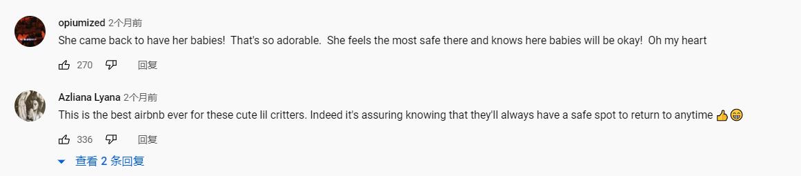 鍔犳嬁澶у皬娴g唺骞煎唇,鍔犳嬁澶у杺鍏诲皬娴g唺