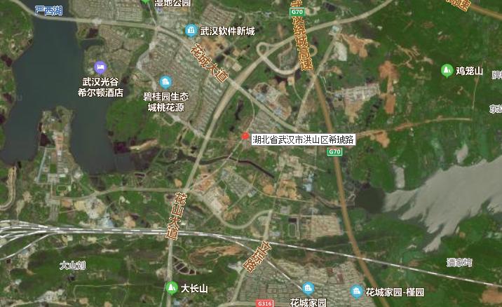 光谷南发展前景,光谷发展速度到底有多快