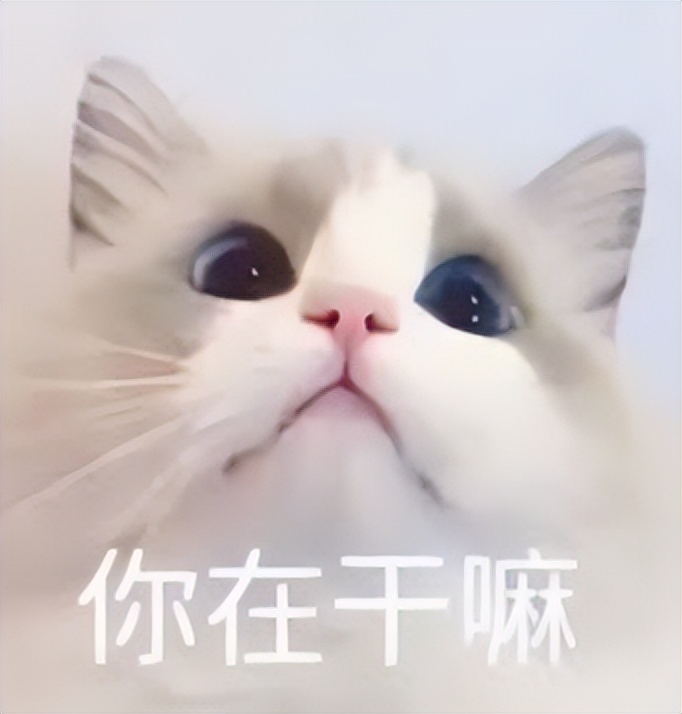 吉林延边的“韩国依赖症”，靠海参崴来结束？