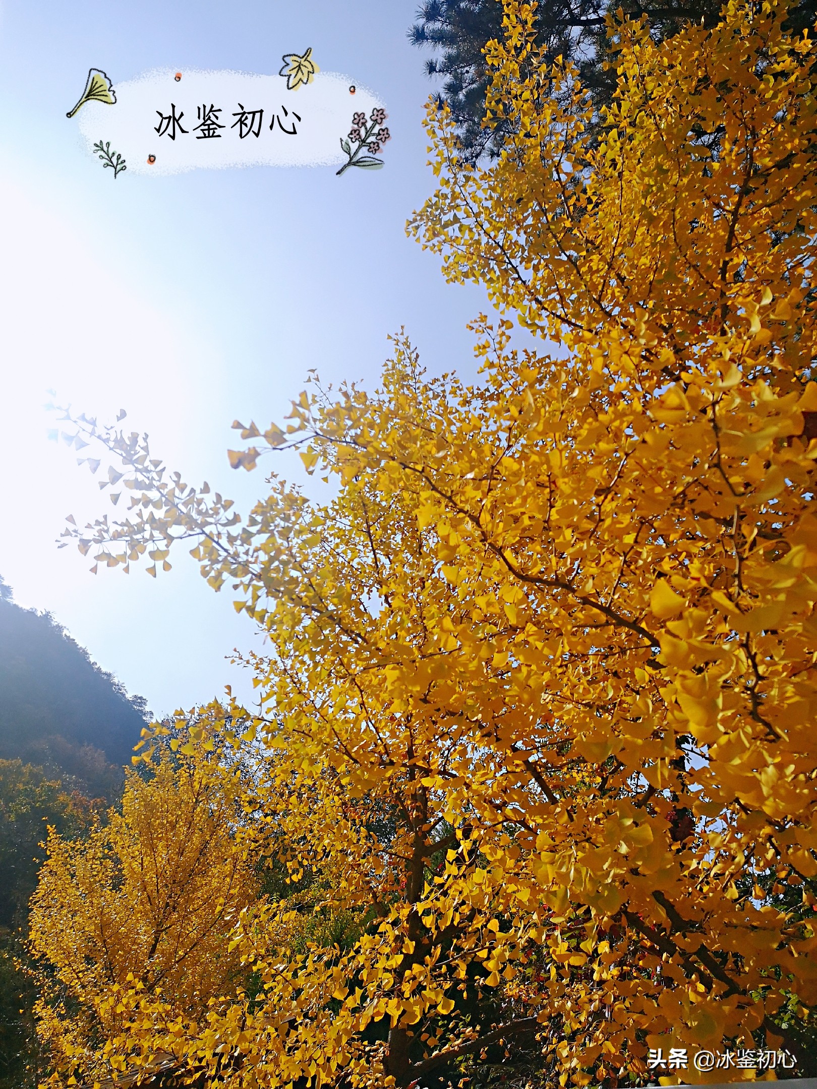 辽东第一山,辽东第一山是什么山