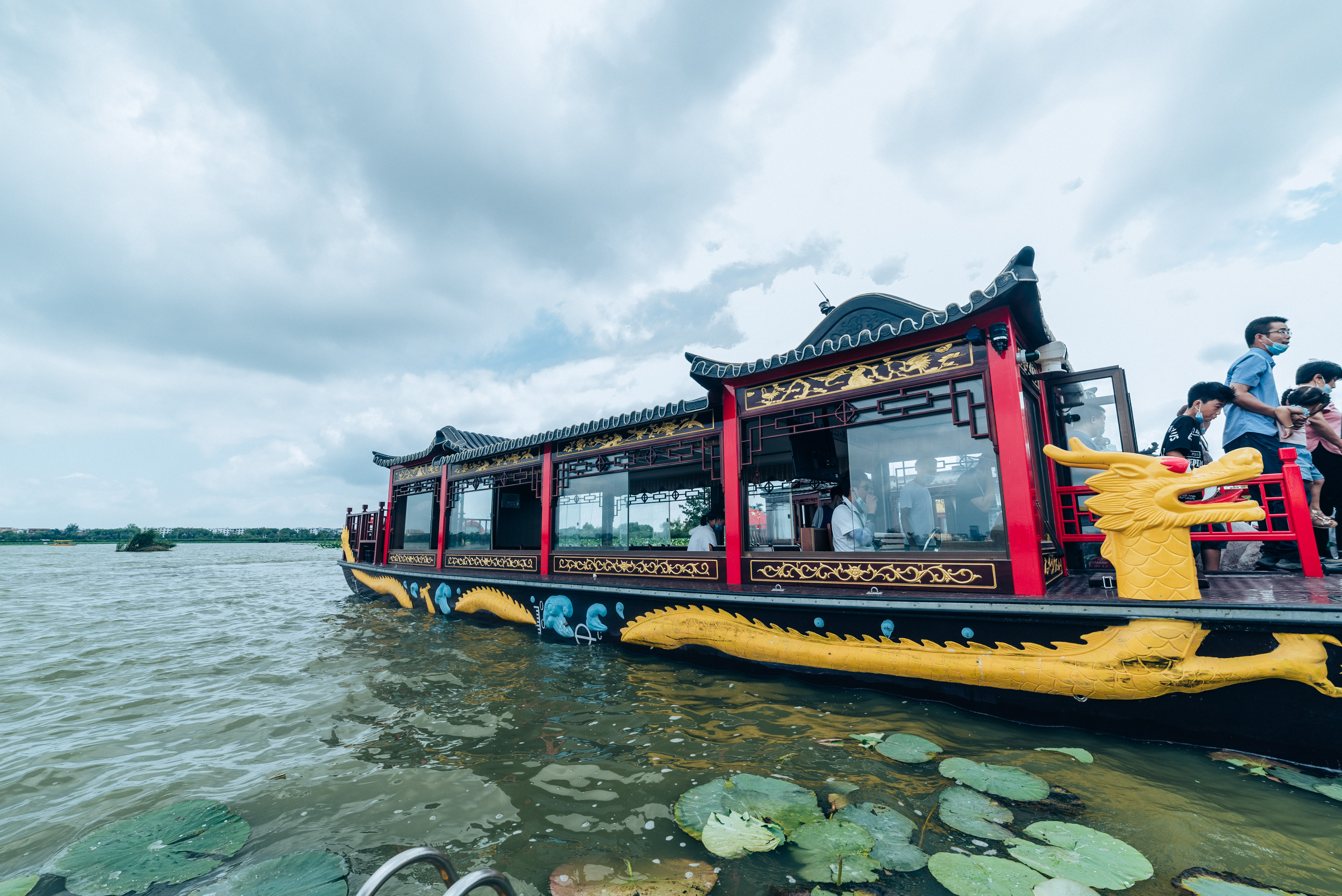 中国淮阳龙湖赏荷旅游月活动启动,淮阳龙湖湿地赏荷