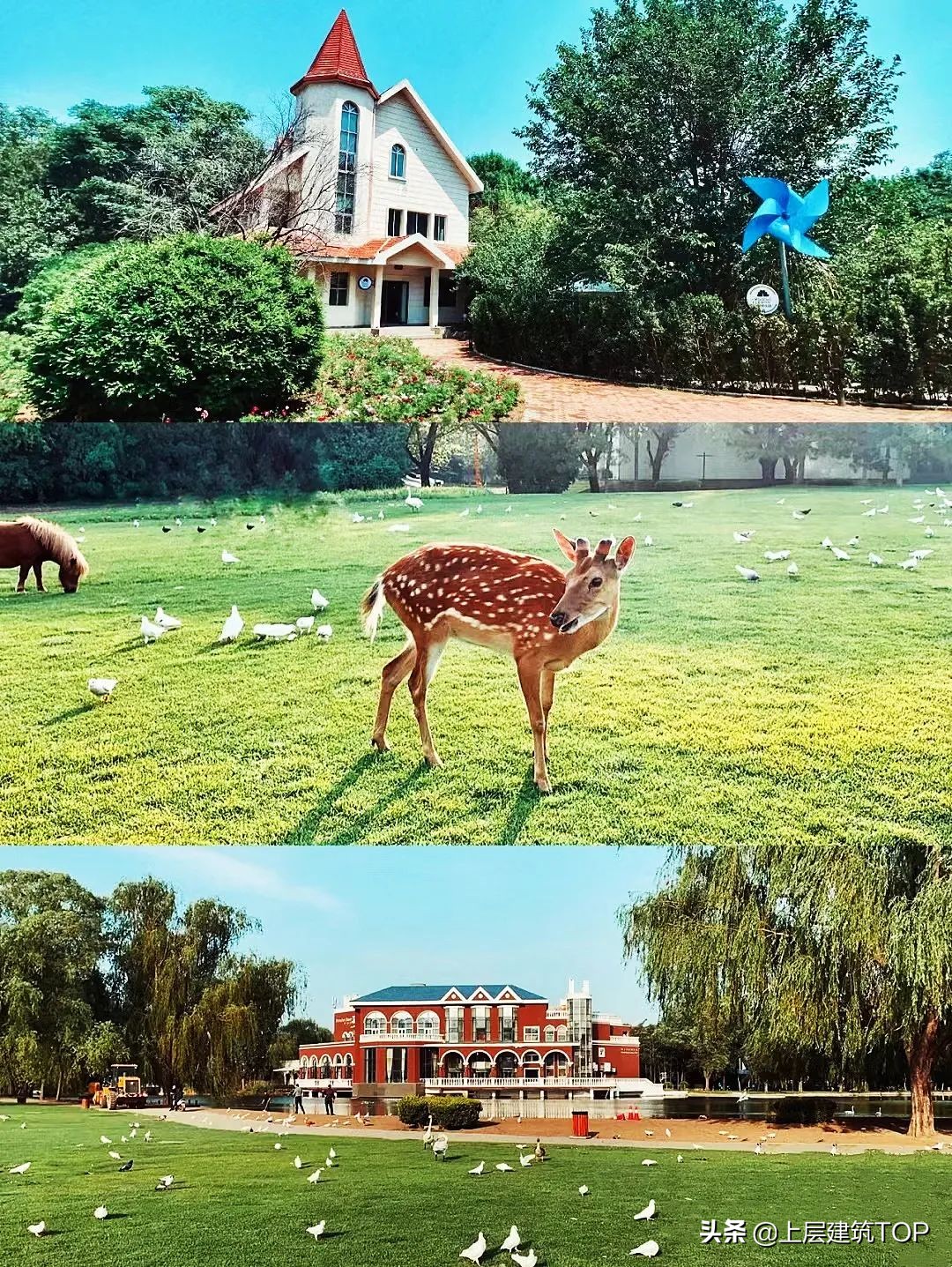 西安网红打卡名媛,奈良网红打卡