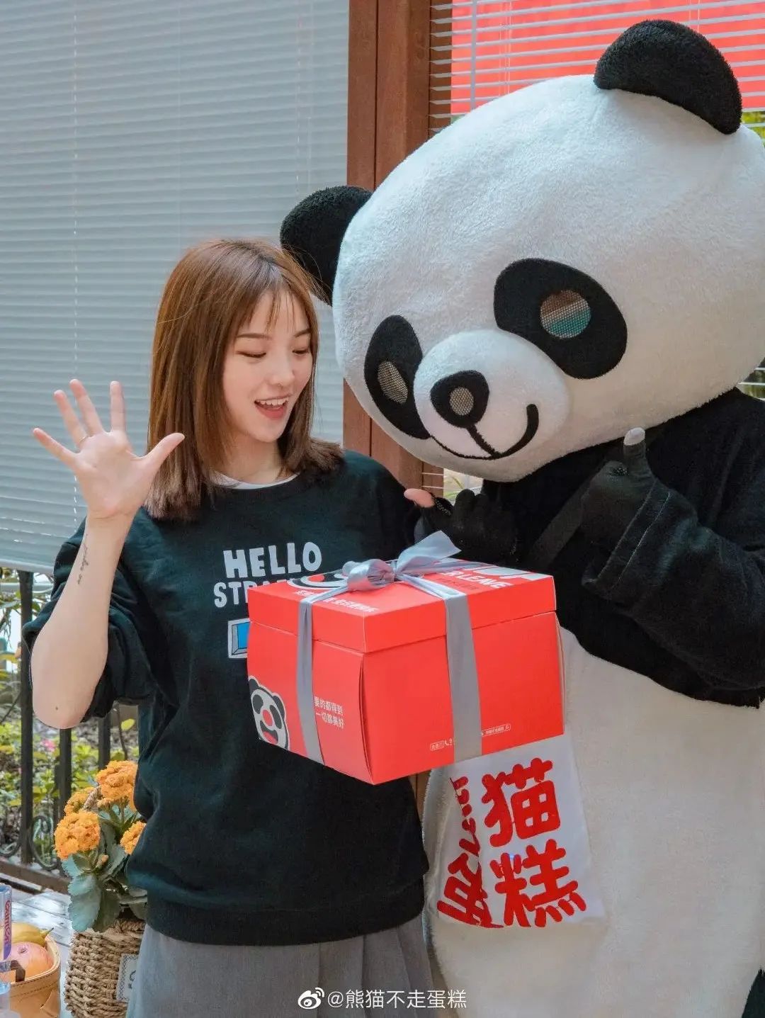 熊猫不走烘焙行业,熊猫不走烘焙配送蛋糕薪资咋样