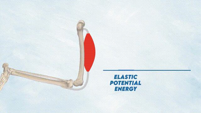 练好足球的三个基本步法,足球怎么有爆发力