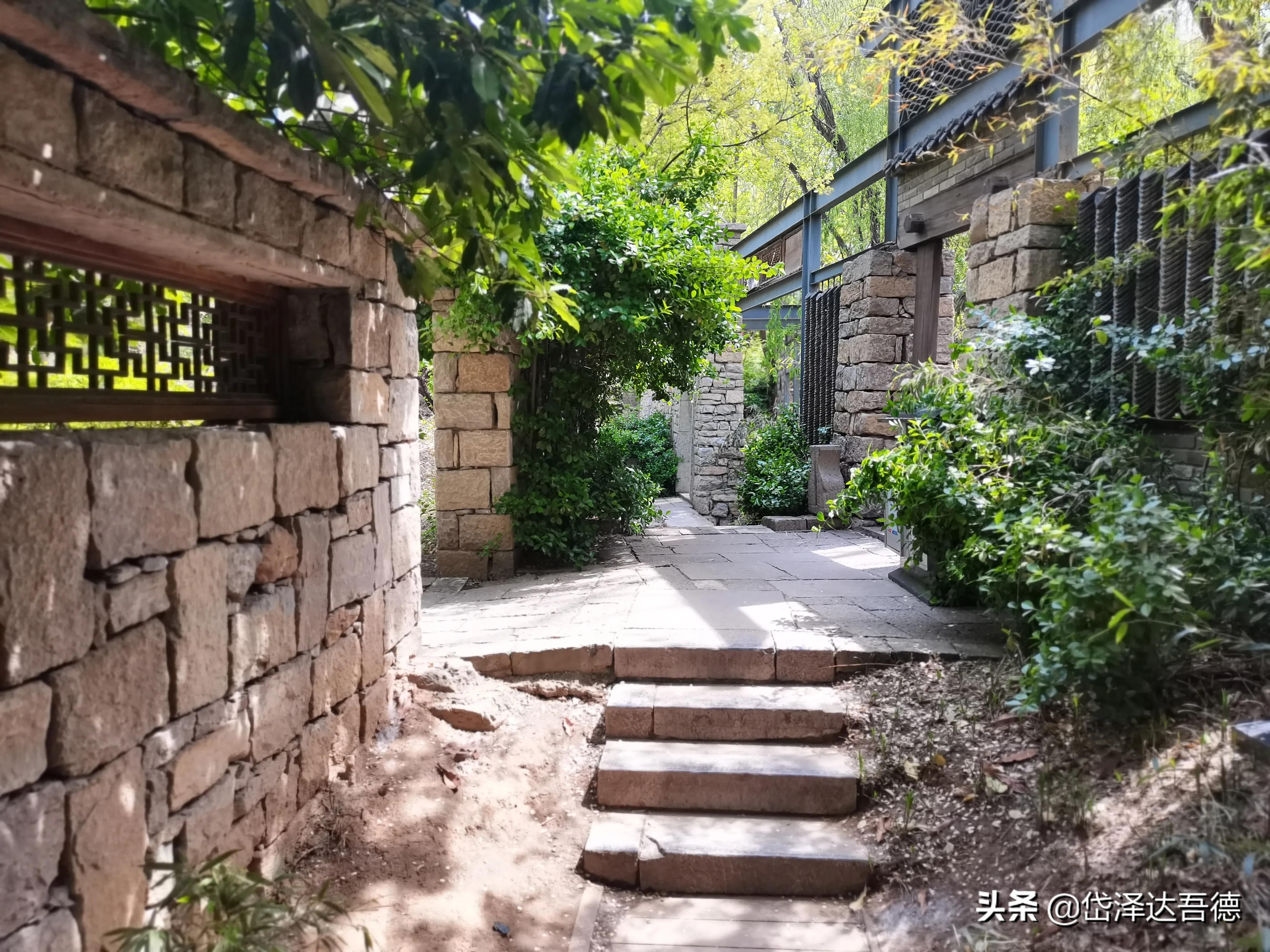 学习音乐对孩子的好处,常听音乐有什么好处