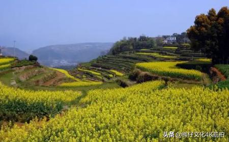 沈阳市铁西区-春游的好地方，一起来这里打卡吧