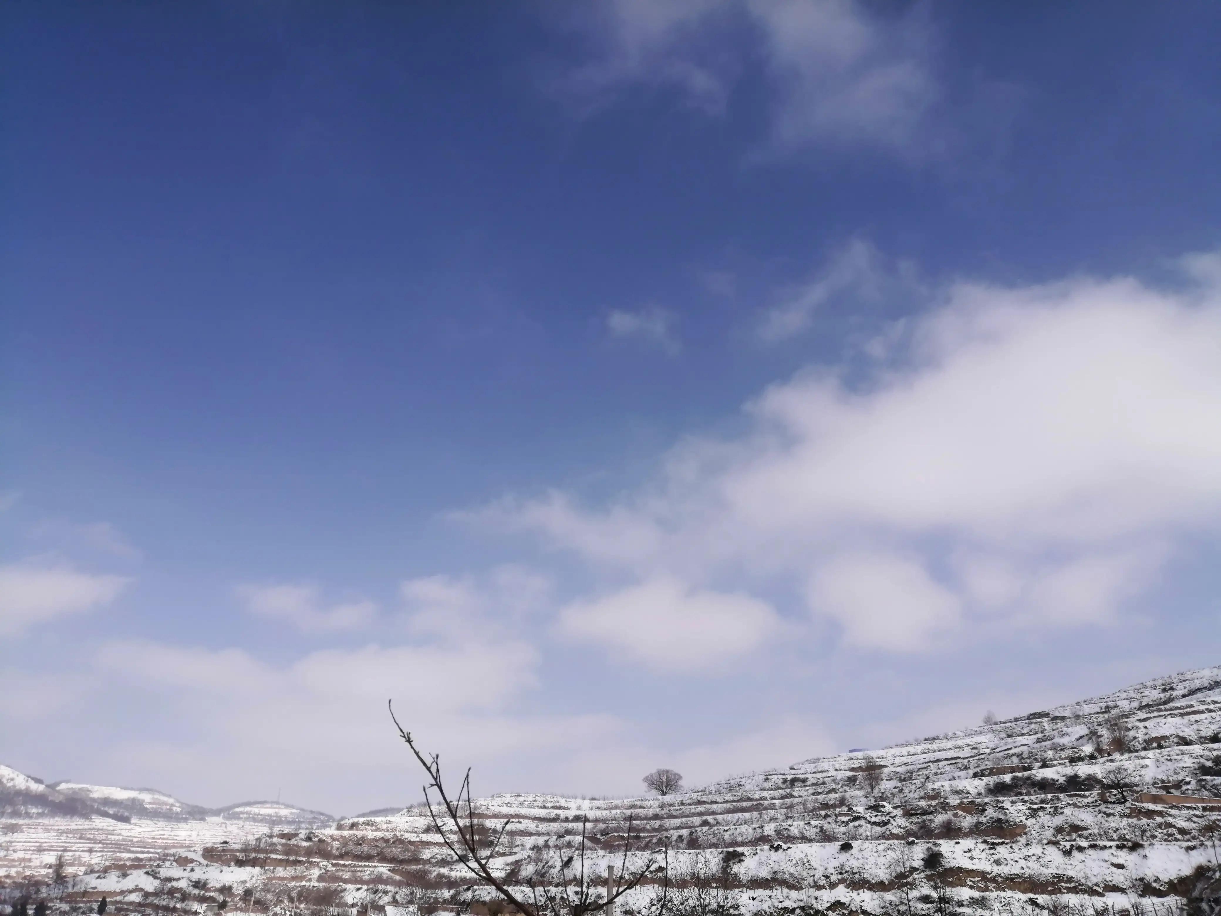 情人节父母的故事,情人节跟父母怎么过才有意义呢