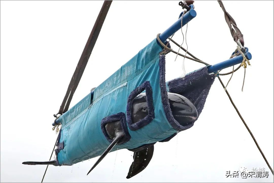 古镇摄影大赛获奖名单,北京摄影大赛获奖照片