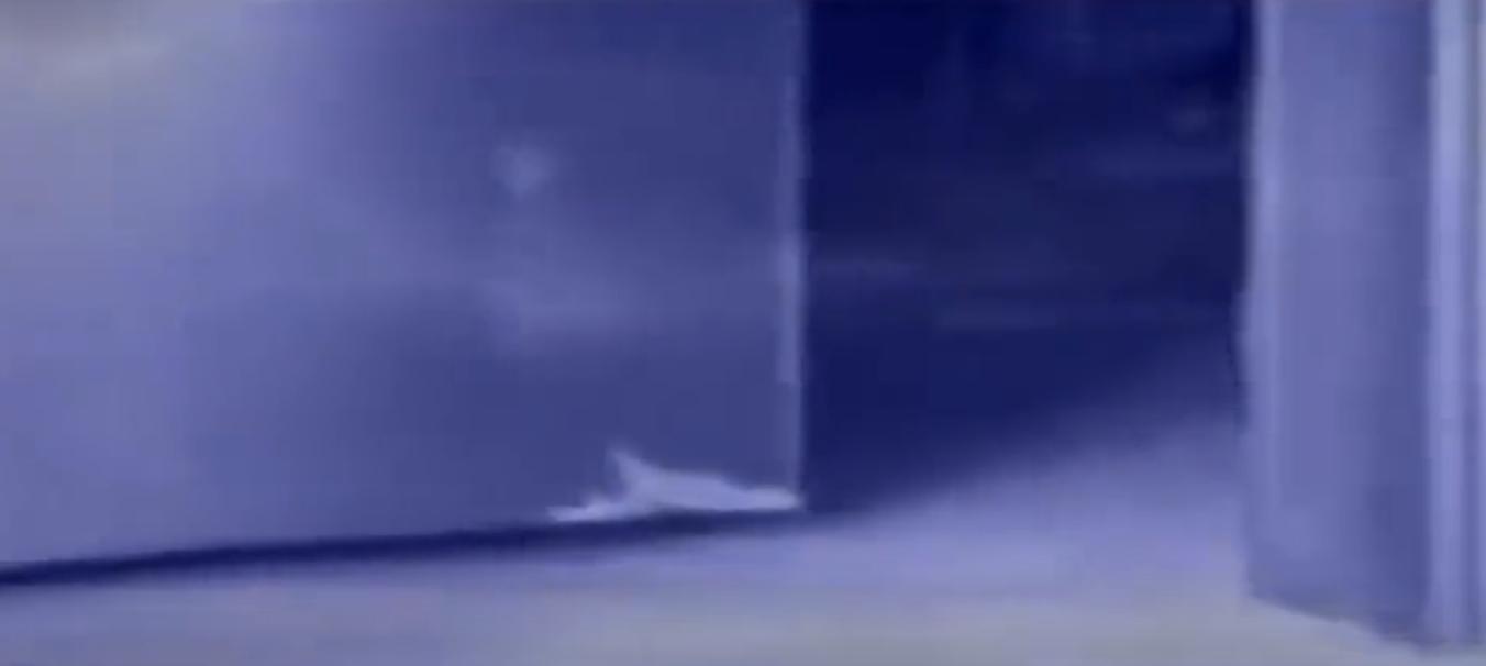 08年,河北女孩“瘫痪”卧床20年,姐姐安上监控后,戳穿多年*局骗**