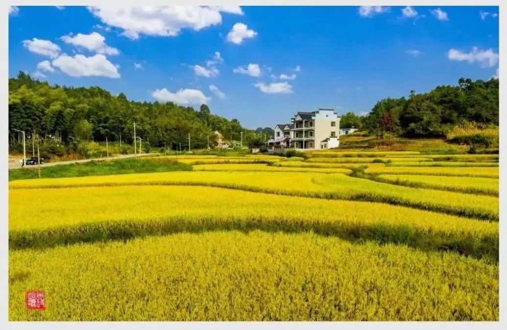 休宁的深秋美如开挂,短途旅行安徽旅游攻略大全