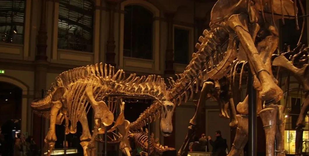 恐龙世界认识史前各种恐龙,食草恐龙和食肉恐龙科普视频