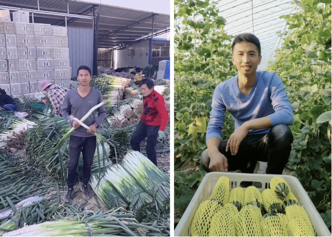 卡友之声永霸天下,卡友之声早安阳光