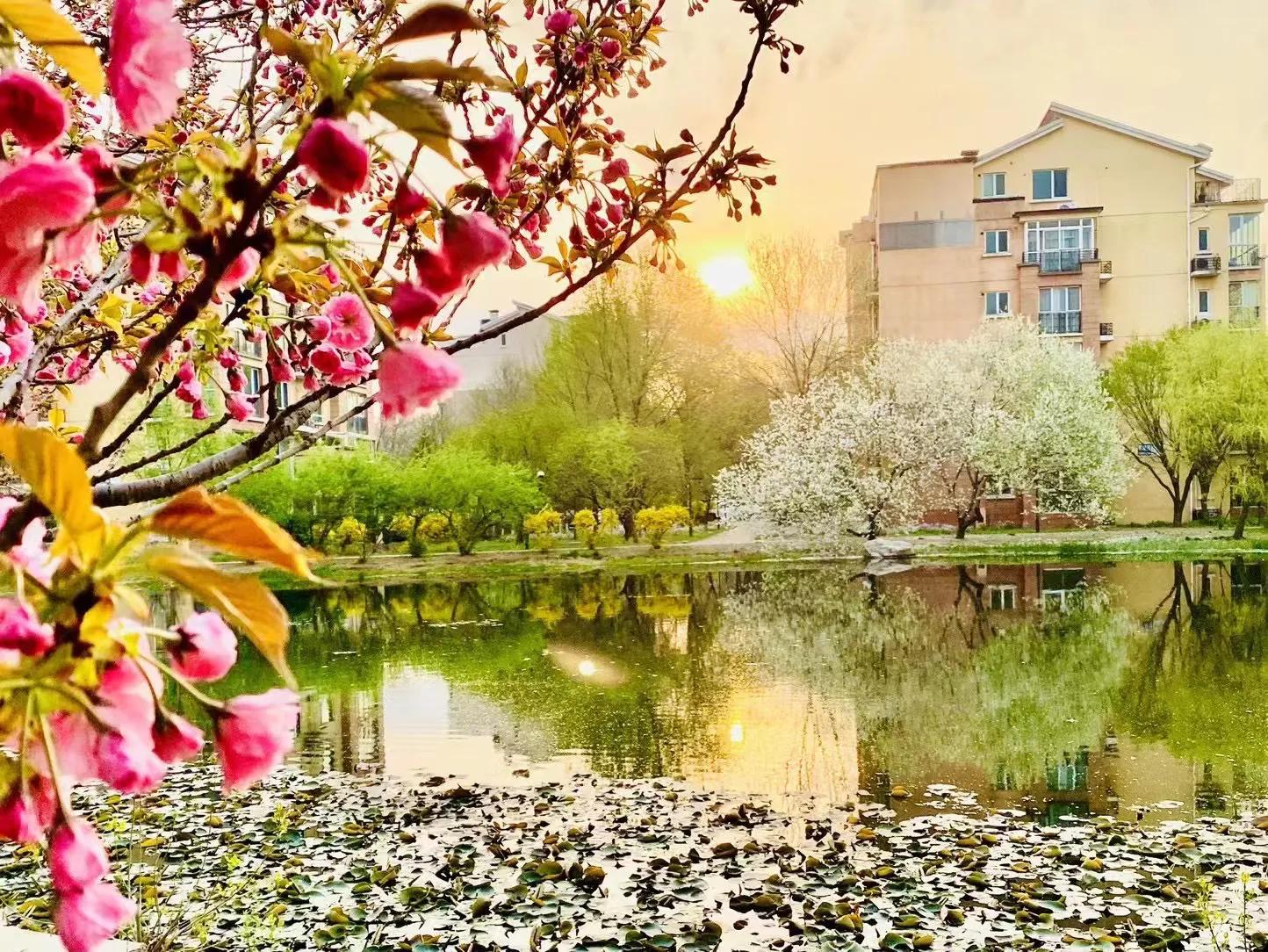 名著速读通七到九年级,名著速读500篇