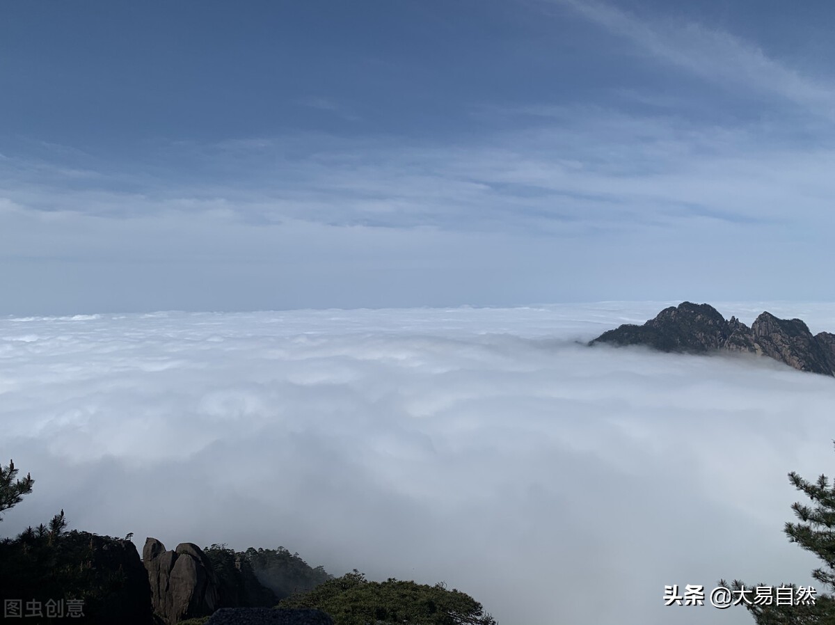 傅佩荣道德经第六十一章讲解,金豆讲道德经第六十一章