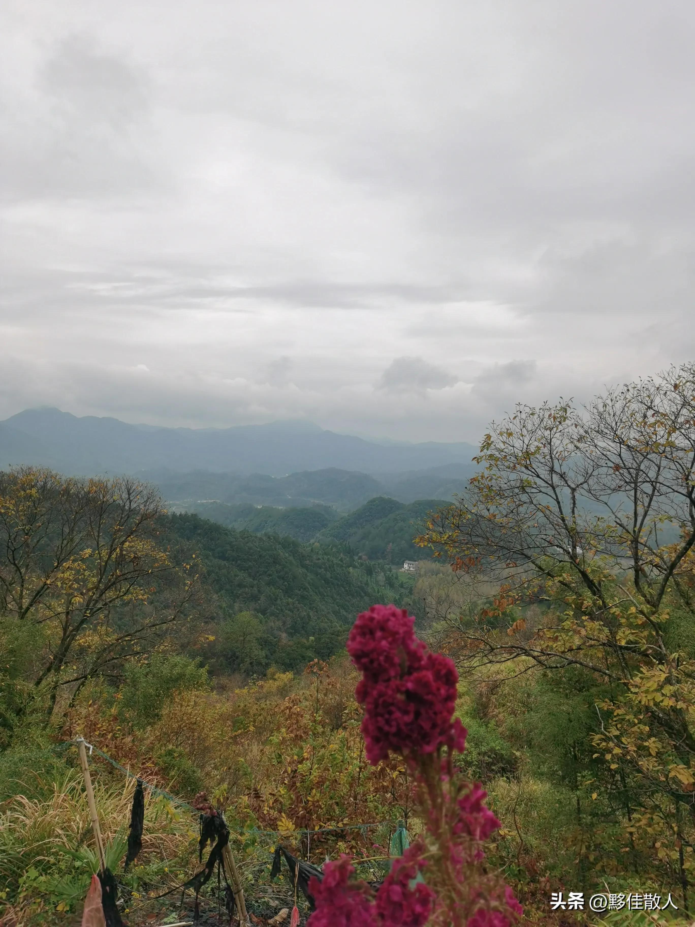 回乡偶书原文,回乡遇见儿时玩伴