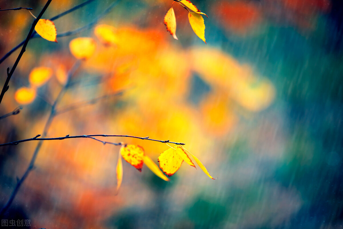 配音文案充满爱意短句,配音文案超甜短句