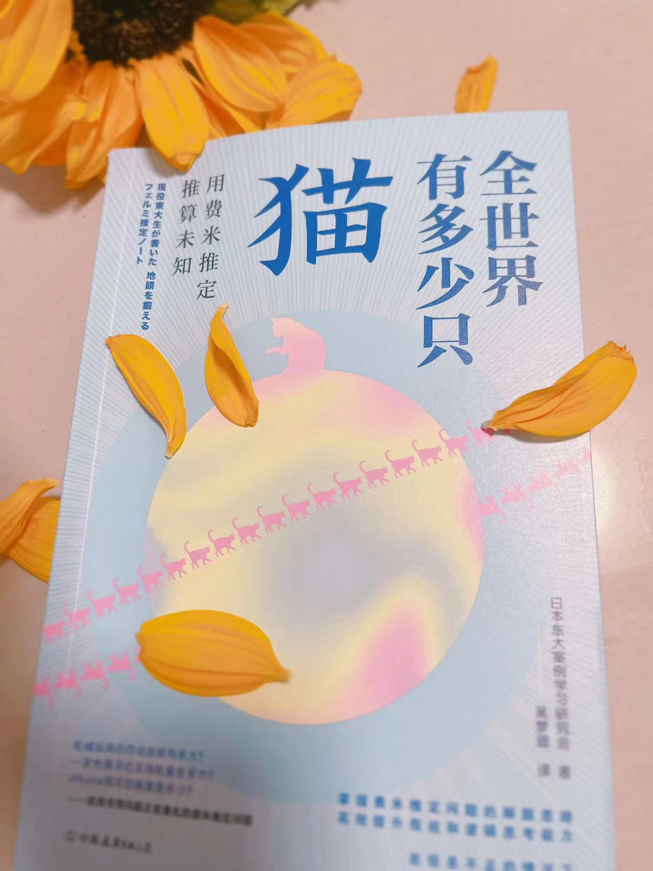 怎么和自家猫咪一起做游戏,怎样和猫做一个游戏