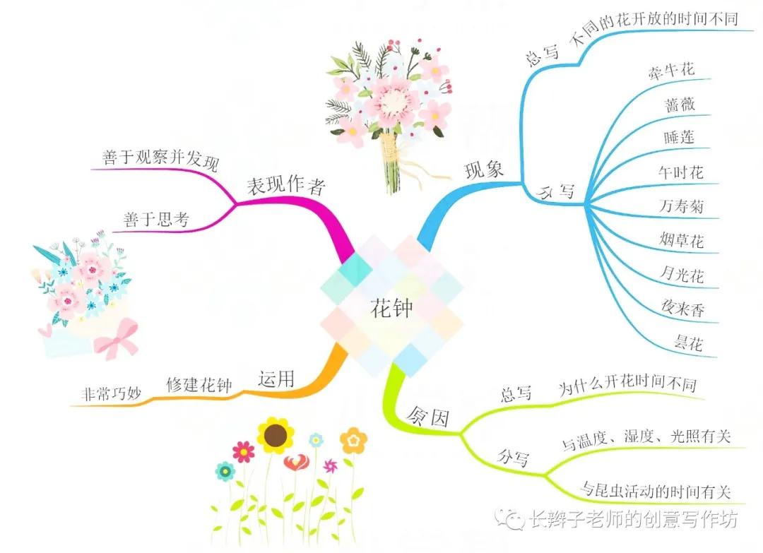 三年级下册语文13课花钟思维导图,语文三年级基础知识点思维导图