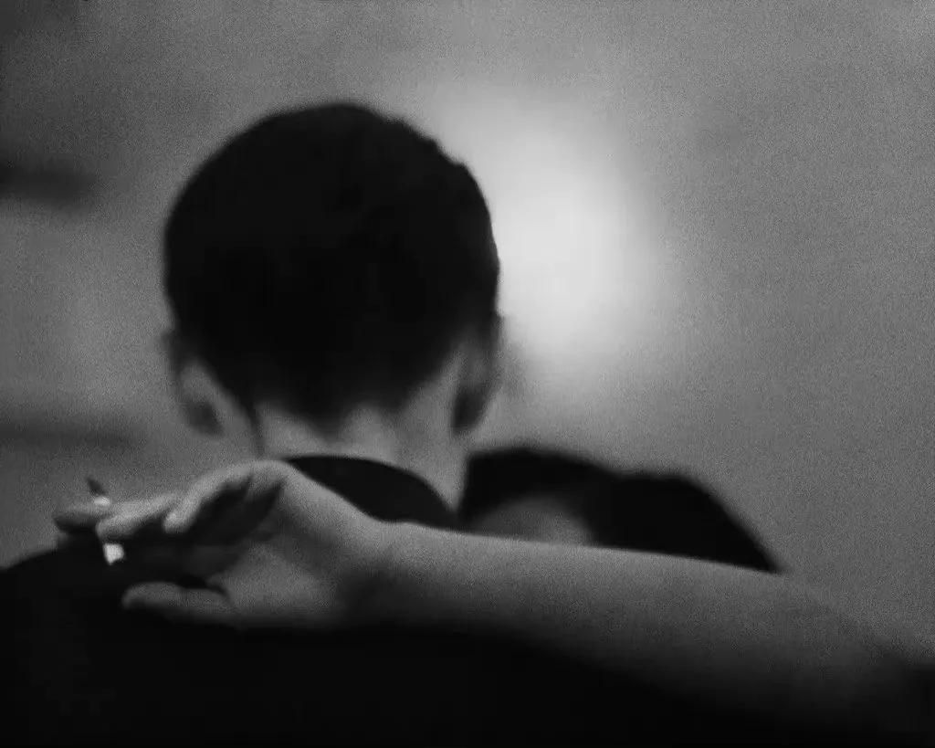 悲观主义的花朵原著小说,悲观主义的花朵