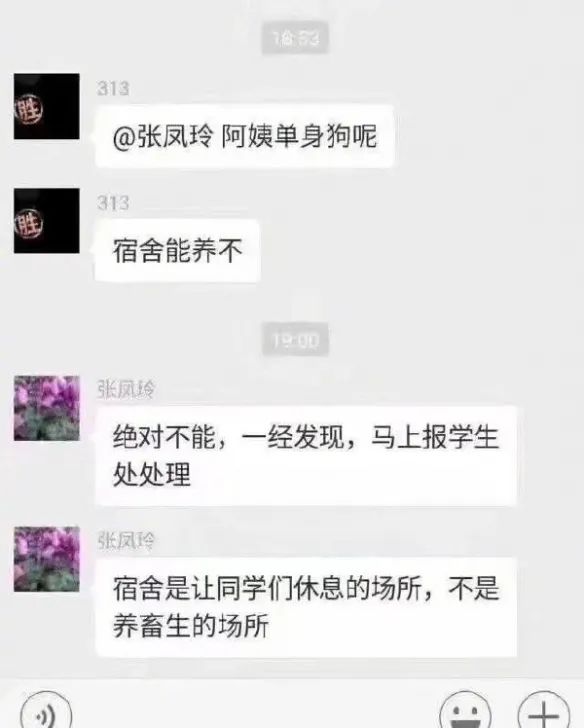 女装大佬怎么变装的,女装大佬教你如何变成女孩子