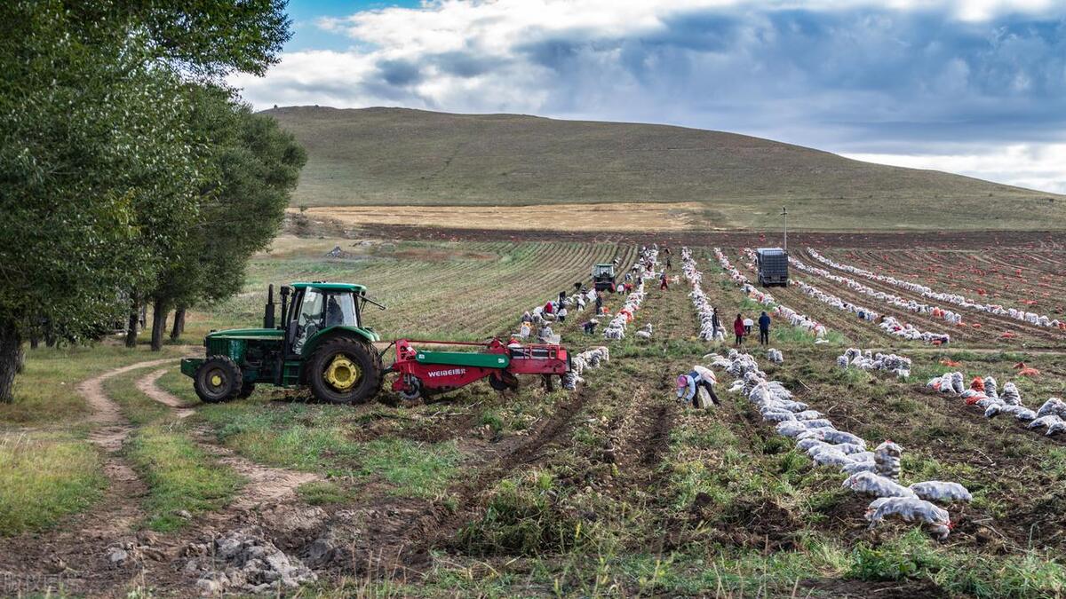 免费可视化共享农场小程序制作,农场小程序开发流程