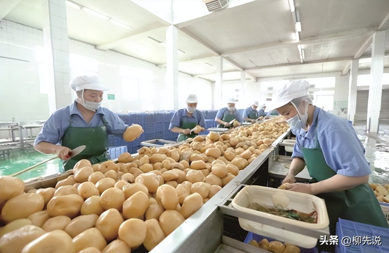 适合年轻人的家用菜,适合年轻人吃的现成菜