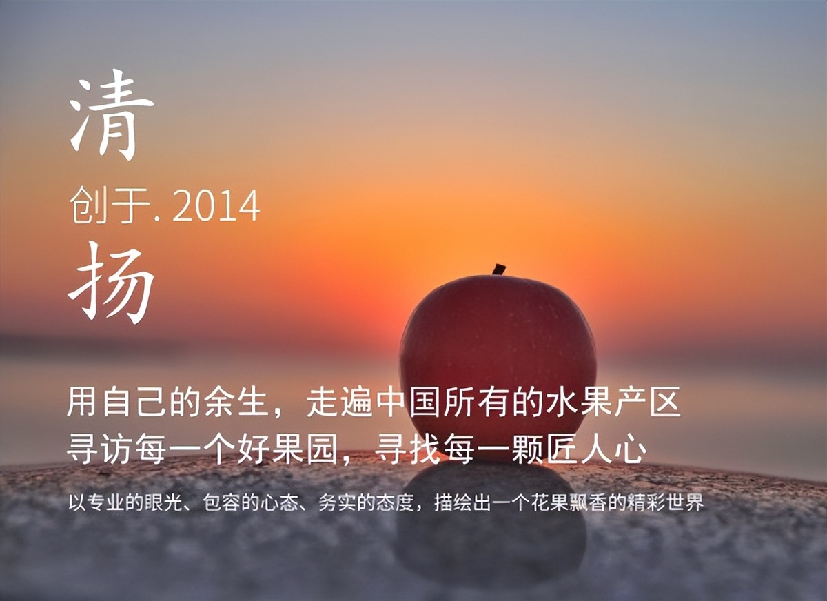 高潮过后，*疆新**西梅路向何方？