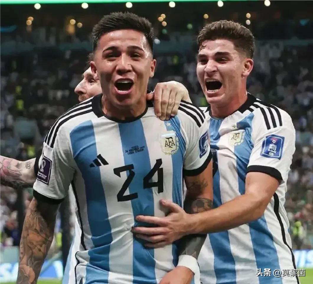 法国和阿根廷夺冠商业价值,法国和阿根廷谁夺冠了