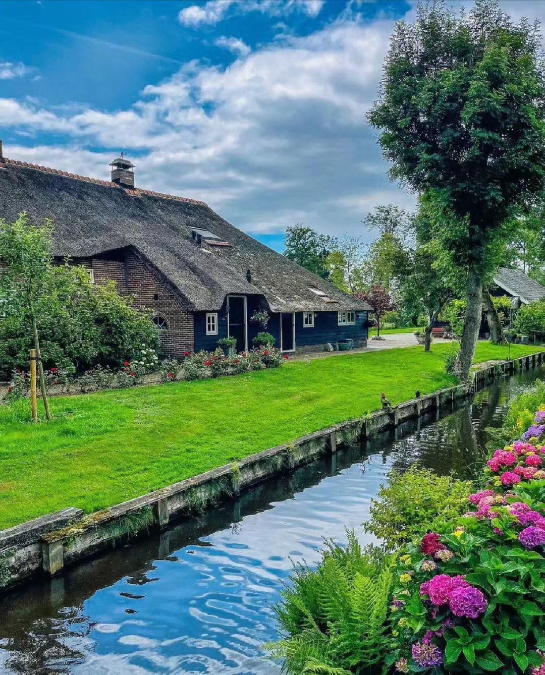 小娅个人资料80后,80后小娅