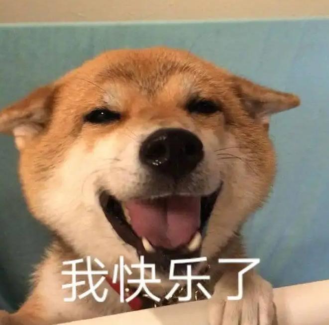 一晚上连炫16颗生鸡蛋，偷吃柯基秒变粑粑喷射“基”