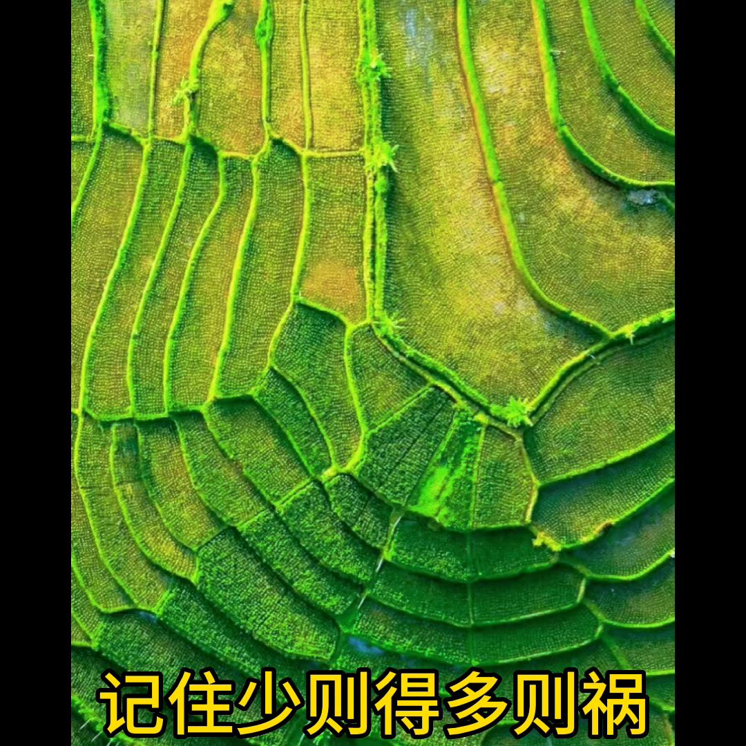 赚钱思维,赚钱思维100个方法案例