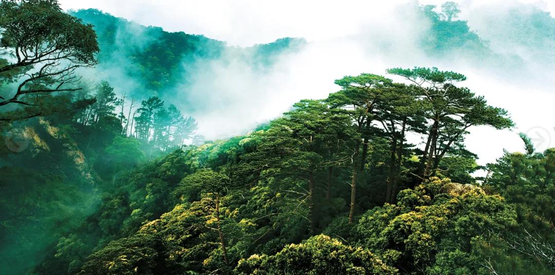 「豆豆点评说」第十三期：海南医疗健康产业前景？