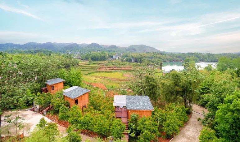 到咸宁看国宝过大年,离家45年的国宝回湖北咸宁过年