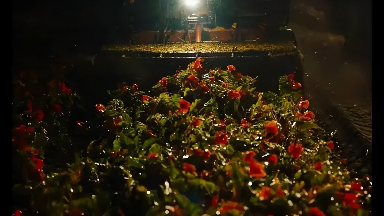 阿凡达经典片,阿凡达这部电影有多牛