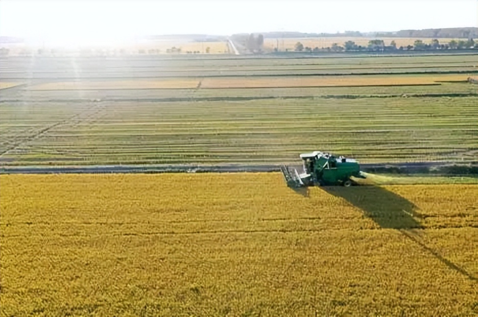 打造全国农业现代化示范区,现代化农业示范区规划图