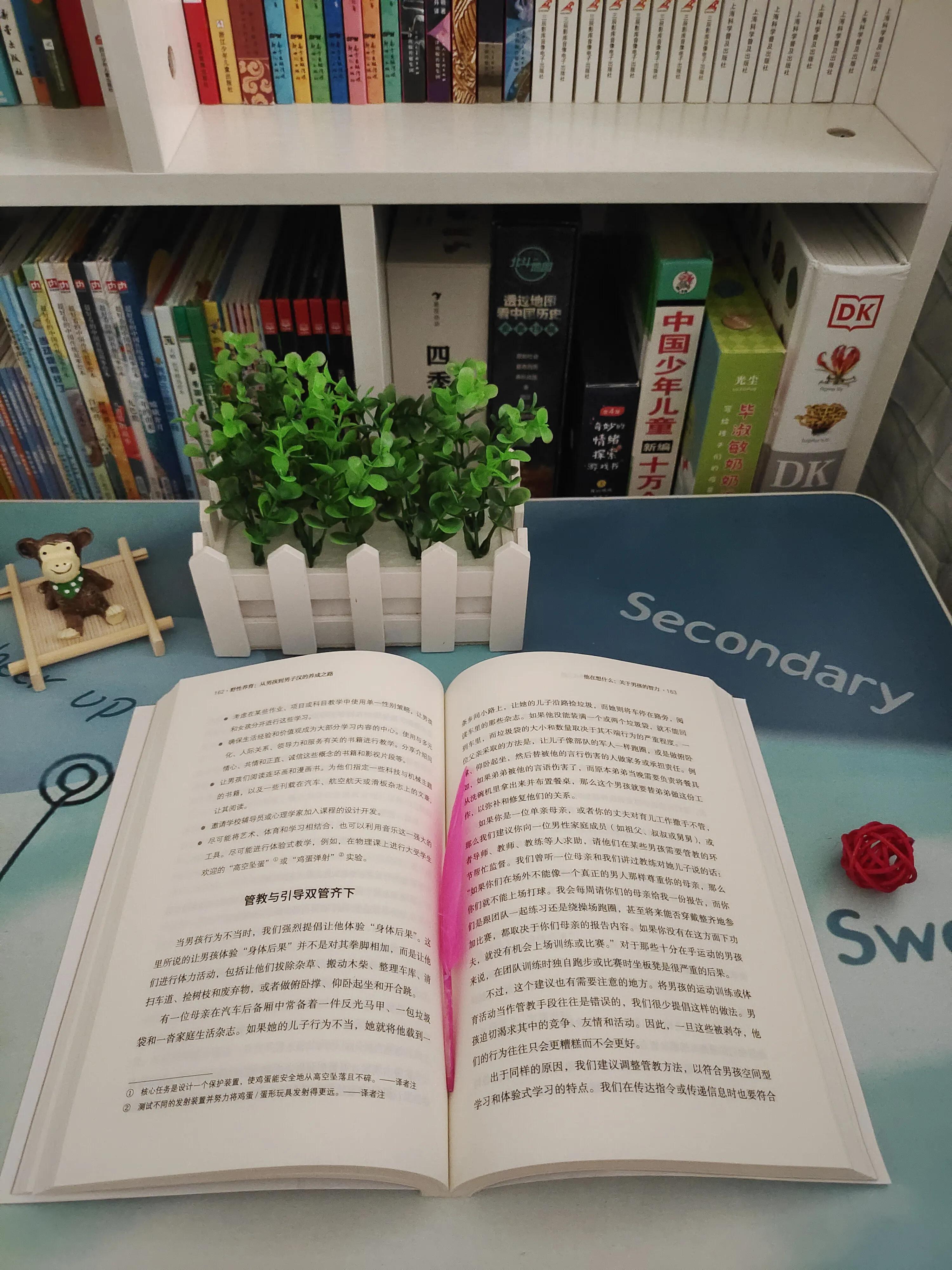 《野性养育》：作为男孩的父母，要掌握的育儿方法