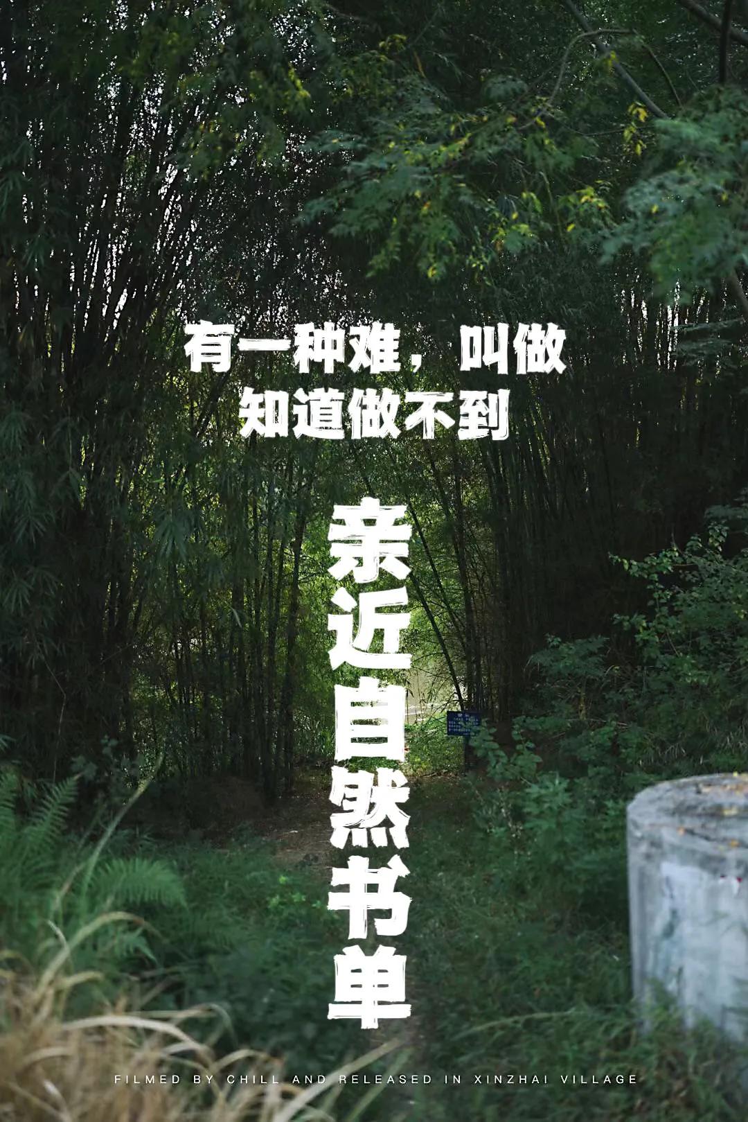 对不起。“遇见大自然”是伪命题。