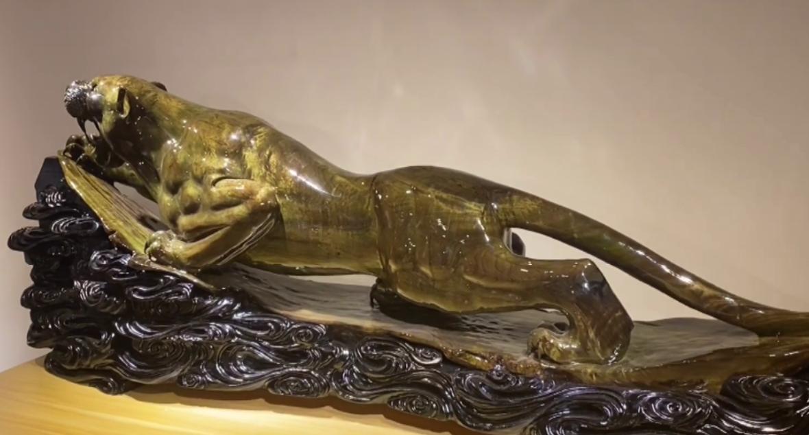 金丝楠木有多贵树苗才12元一棵,金丝楠木树一棵苗多少价格