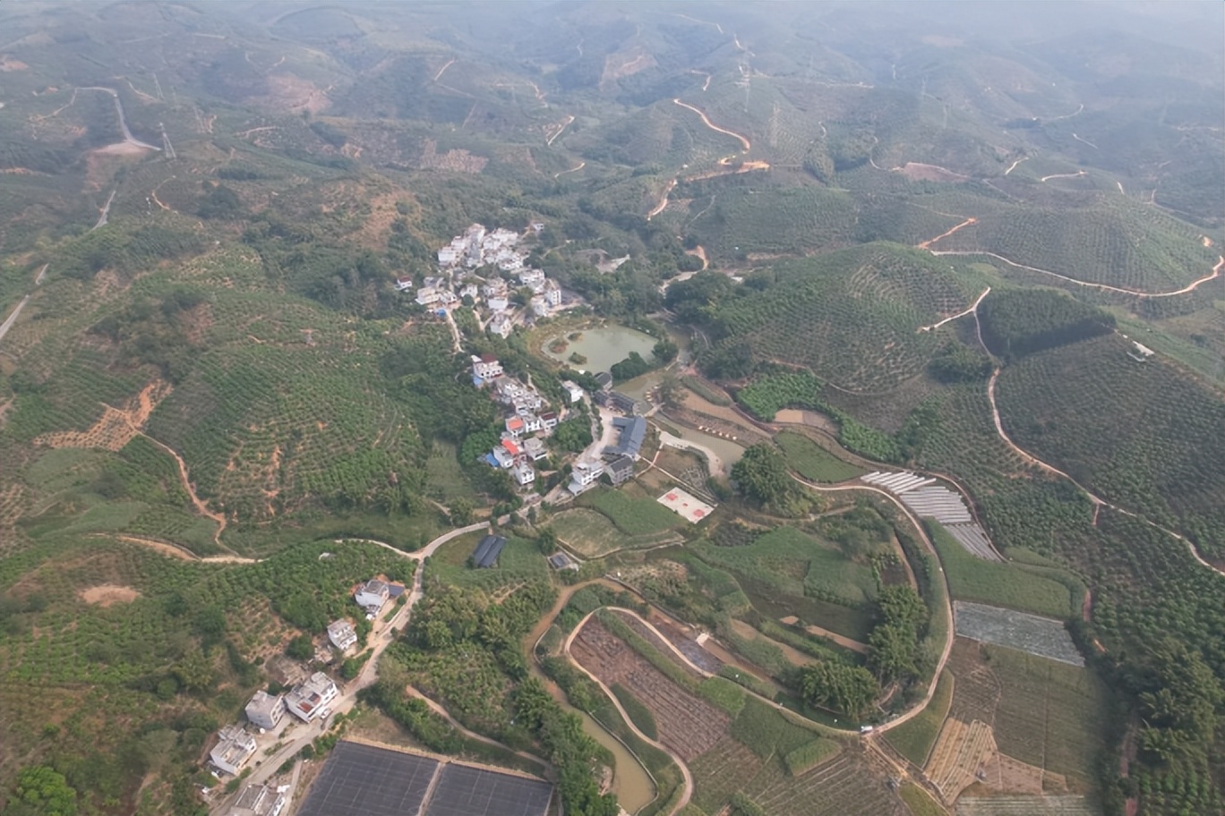 我村有好货|右江河谷夏正“芒”